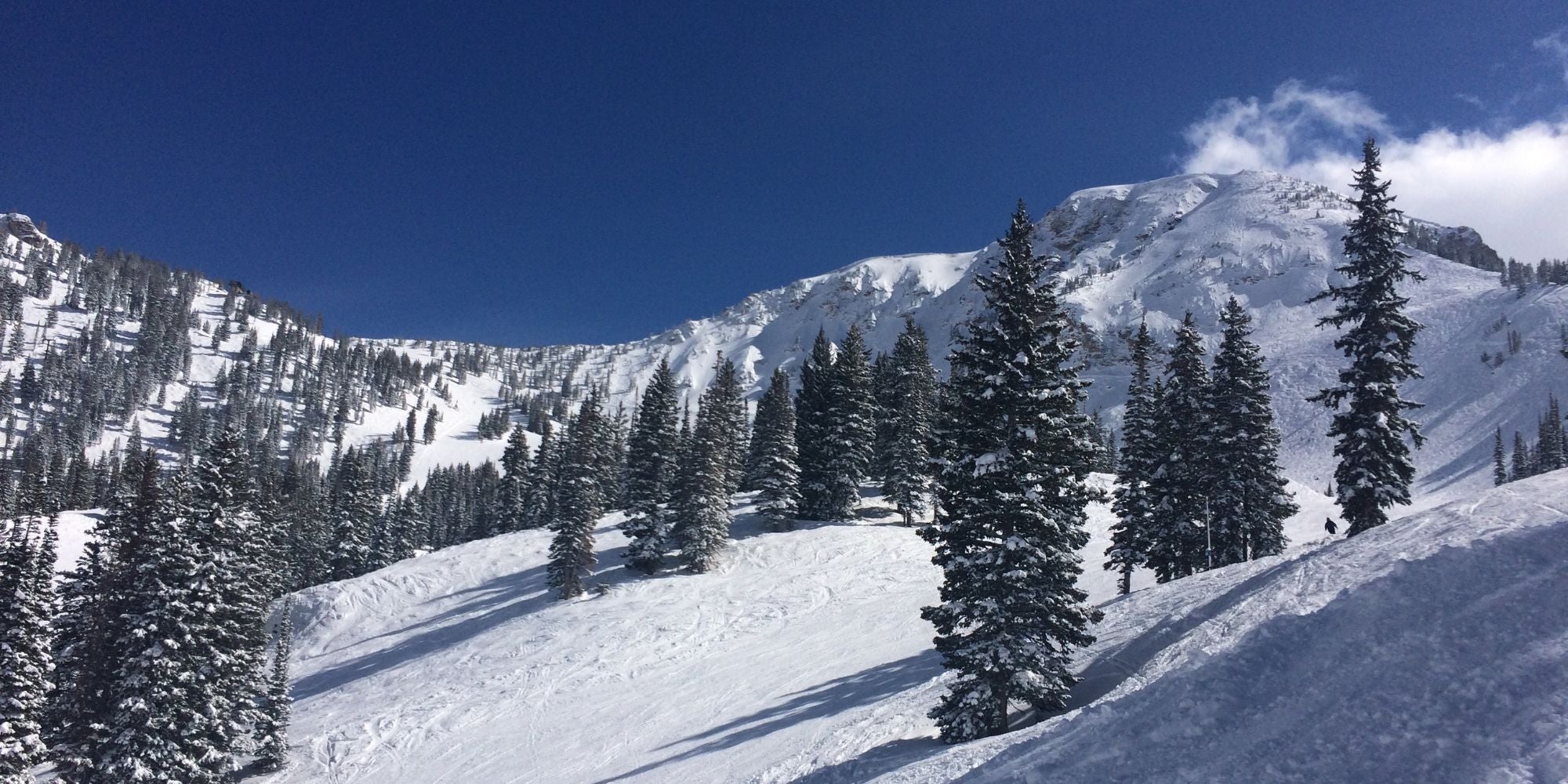 Alta Altitude Sickness