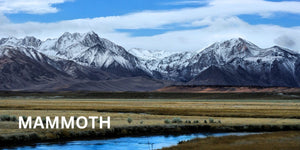 Mammoth Altitude
