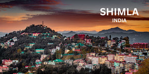 Shimla Elevation