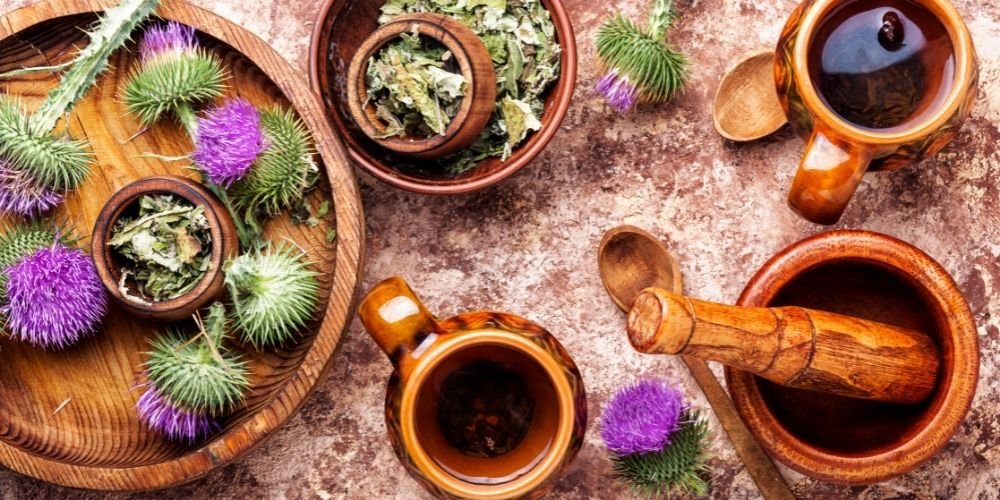 Does Milk Thistle Help With Hangovers? (The Science) - Zaca