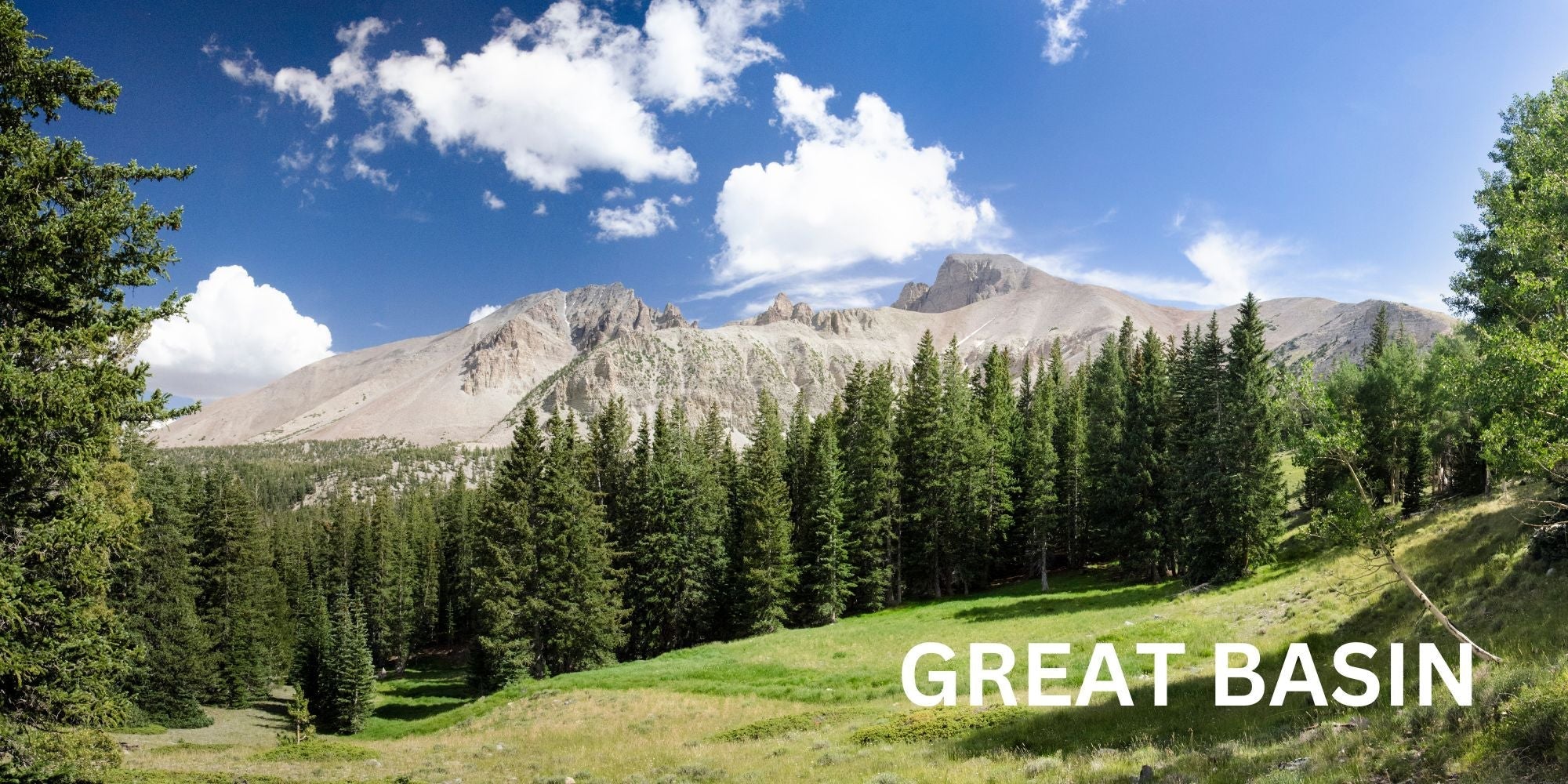 Great Basin National Park Elevation + 5 Tips - Zaca