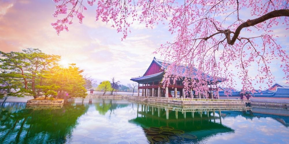 Hangover Anxiety Relief From South Korea - Zaca
