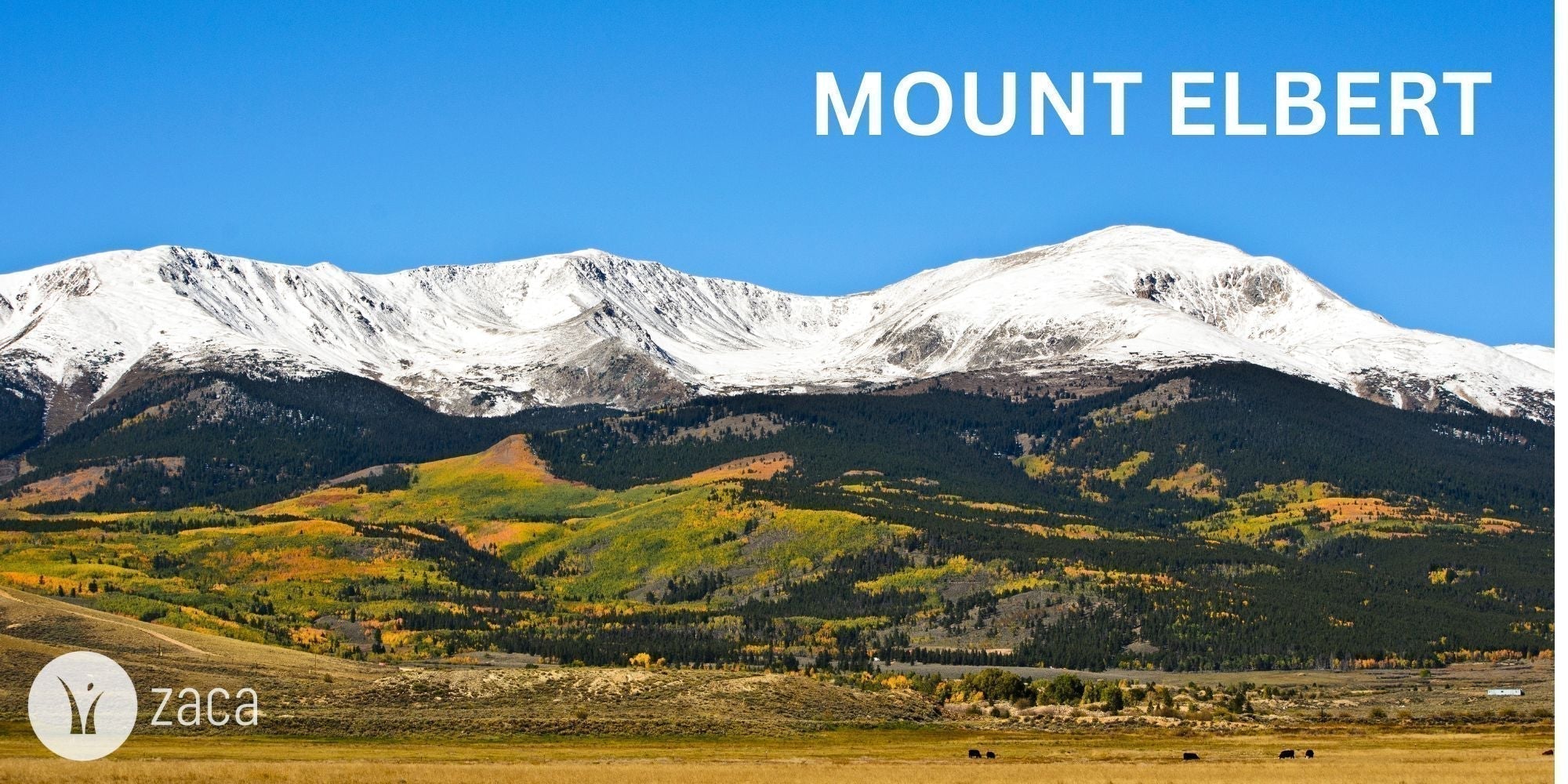 Your Guide to Hiking Mount Elbert at High Altitude - Zaca