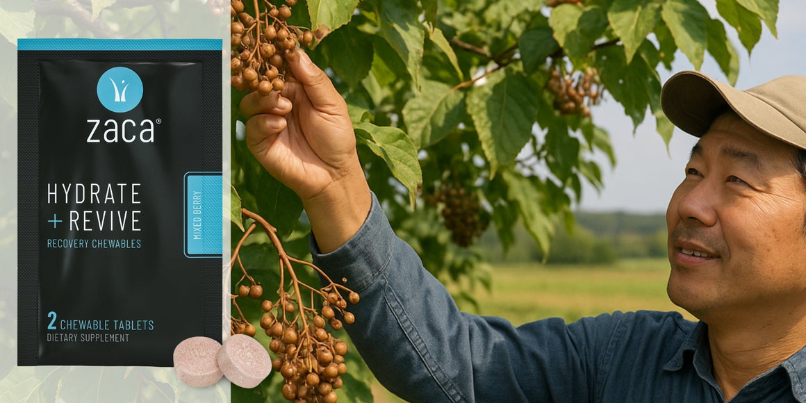 Hovenia Dulcis Extract - Zaca